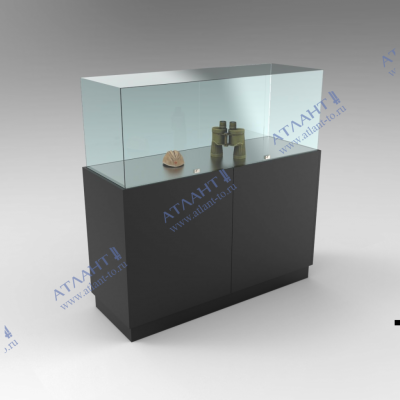 Витрина музейная В.С.4