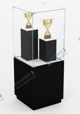 Музейная витрина В.М.П-2