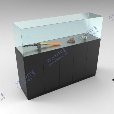 Музейная витрина В.С.6