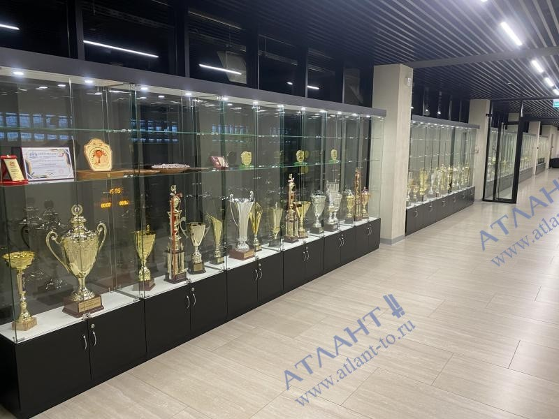 Витрины в МЕЖДУНАРОДНЫЙ ЦЕНТР САМБО ул. Лужники 24